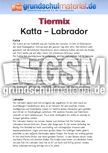Katta - Labrador.pdf